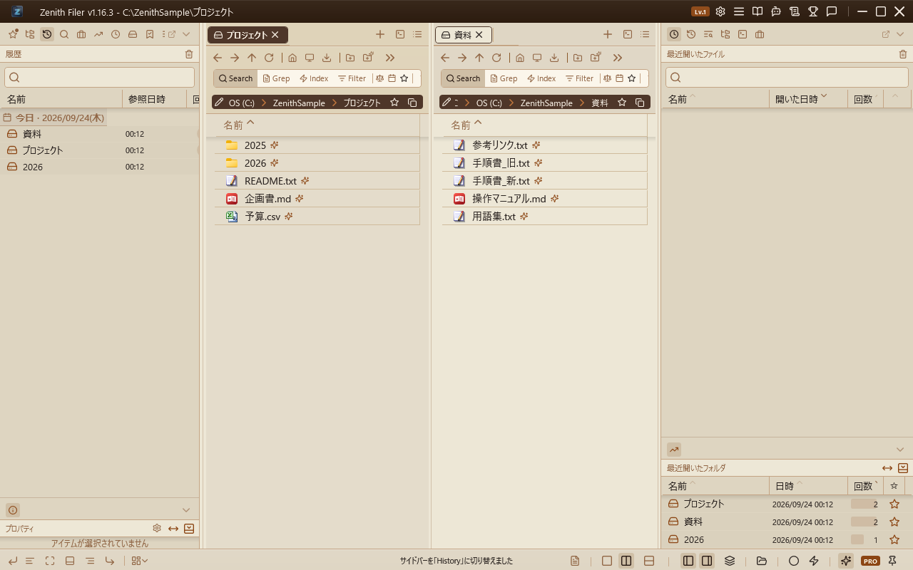 The Browse History view in the nav pane: under a Today header, the folders opened (資料, プロジェクト, 2026) are listed with their times; a search box at the top and a trash button at the top right to clear the history